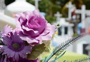 Су кремациясы - Ұлыбританияда жерлеудің жаңа түрі енгізілмекші