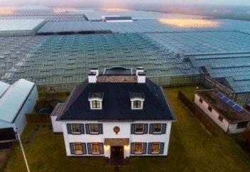 Уикипедияның жазуынша...