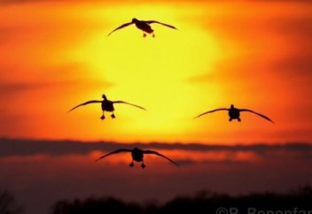 Жомарт болу үшін