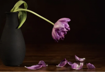 Ғалымдар адамның ақырғы деміне үңілді: өлімнің тағы бір құпиясы