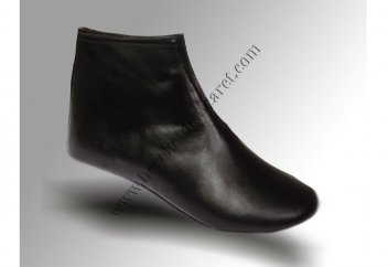 Әбу Ханифаның ақидаға қатысты өсиетінің түсіндірмесі: Мәсіге мәсих тарту - уәжіп (9-ереже)