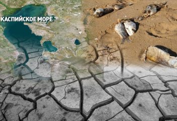 Катастрофическое обмеление Каспия. При чем тут Россия?