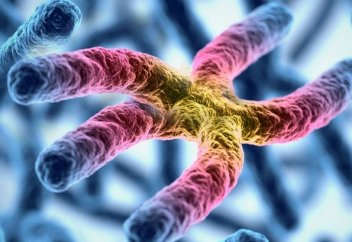 Жасы 35-тен асқан әйелдің Даун синдромы бар баланы дүниеге әкелу ықтималдығы артады