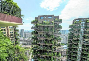 Эко-квартиры в Китае захватили комары (фото) Комаров-переносчиков болезней становится больше из-за людей