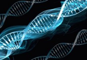 Адам өлгеннен кейін де қызметін тоқтатпайтын гендер анықталды