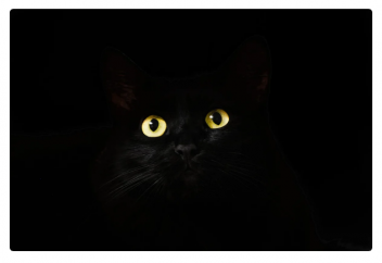 Қазақстанда дінге сенбейтіндердің құқығын қорғайтын заң пайда болады