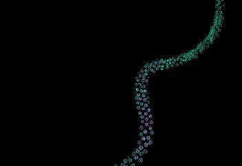 Жылу стресінің шәуһатты қалай зақымдайтыны белгілі болды