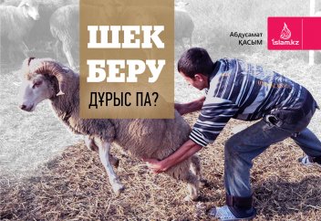 Шек беру дұрыс па?