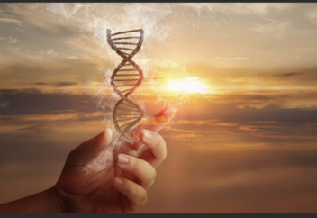 ДНҚ мен тінді қалпына келтіретін дәрі жасалды