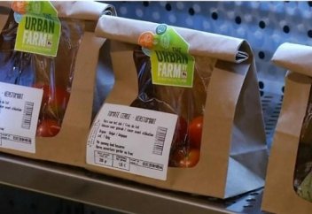 Супермаркет в Бельгии на собственной крыше устроил огород (фото)