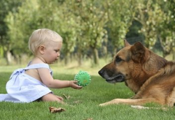 ИТ-ӨМІР ДЕП НЕГЕ АЙТАДЫ АДАМДАР?..