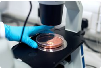 Миға генетикалық редакторды жеткізуге арналған нанобөлшектер жасалды