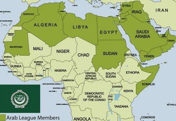 Банкротство Арабского мира: кто виноват и что делать?