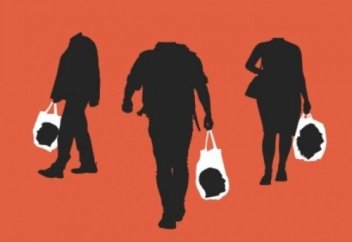 Тектіден тексіз жасау: Ғалымдардың қызықты зерттеуі нені көрсетті?