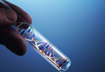 Қазақстандық жас ғалым қартаюды бәсеңдететін генді анықтады