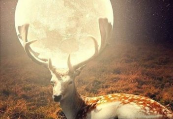 Кезінде көп күнә жасаған мәйіттің бөлмесі мынаған толып кетіпті (көріңіз)