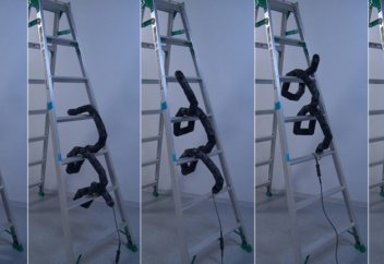 Жылан робот сатымен жоғары өрмелеуді үйренді (видео)