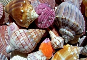 Мүмкіндіктер әлемі: Қасиетті үш айлар табалдырығын да аттаймыз-ау!