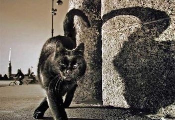 3 греха, от которых сложно избавиться