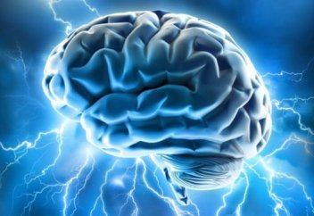 Мозг человека может регулировать вес тела