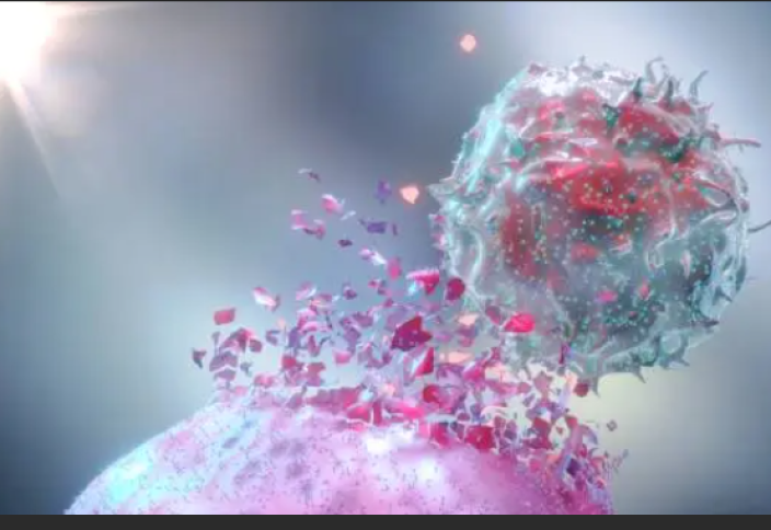 Ғалымдар обырмен күресу үшін иммундық жасушаны қолдан өсірудің жолын тапты