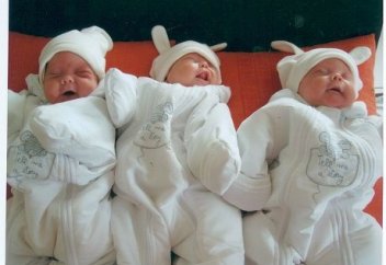 Үшем немесе одан да көп егіздер дүниеге келген отбасыларға ірі мөлшерде арнайы жәрдемақы беріледі