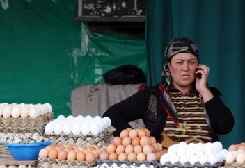 Шағын бизнес жалпы ішкі өнімнің 60%-ын құрайтын түркі елі