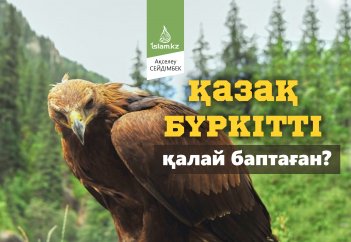 Қазақ бүркітті қалай баптаған?
