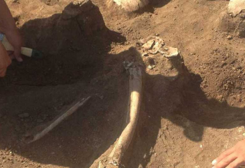 В Казахстане нашли останки человека, жившего 48 тыс лет назад