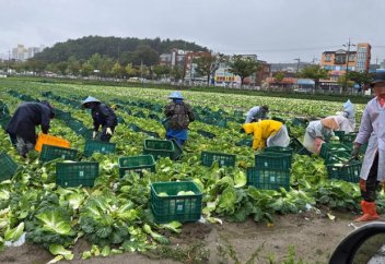 Иностранные работники достигли рекордных 1,11 миллиона, высокий темп труда — главная проблема