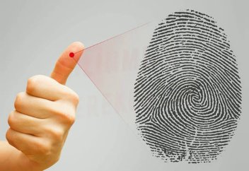 Сенат РК принял закон о дактилоскопической регистрации граждан