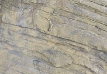 Табиғаттың сирек құбылысы таспаға тартылып қалды (видео)