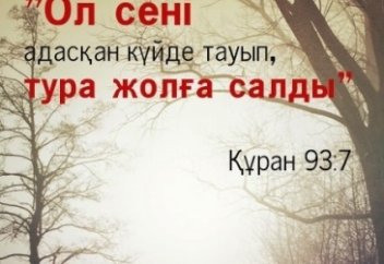 Қарама-қайшылықтар