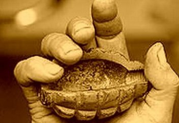 Париж захлестнули теракты