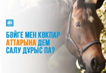 Бәйге мен көкпар аттарына дем салу дұрыс па?