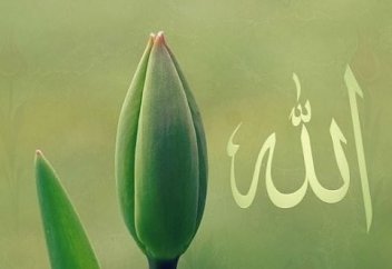 Ислам и Медицина