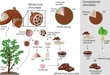 Цельноплодный шоколад назвали экологичной заменой классическому. Вместо сахара в нем используют желе из сока и кожуры плода
