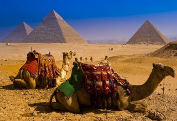 Қызтекелерді елге кіргізуге тыйым салды