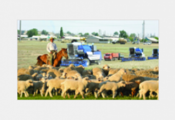 Ауыл шаруашылығына бөлініп келген субсидияның 20 түрі қысқарады