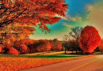 Краски осени...