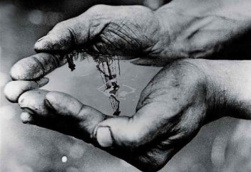 Ғалымдар мұнайдан тіршілік иелерін тапты