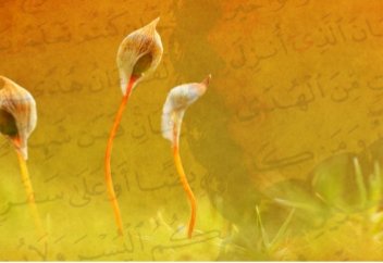 Что такое Ба`с и каковы доказательства его истинности?