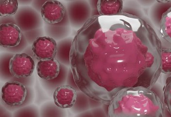 Ер мен әйелдің ұрығынсыз синтетикалық ұрық жасалды бедеулік пен белсіздікті емдеу үшін