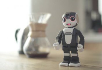 Шартарап: Жапонияда робот телефон жасалды (ВИДЕО)