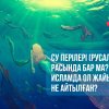 Су перілері (русалка) расында бар ма? Исламда ол жайында не айтылған?