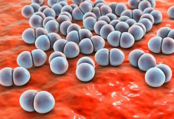 Аллергия тудыратын иммундық жасушаның сирек түрі табылды