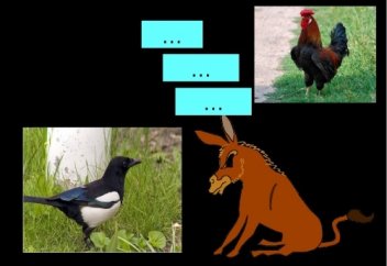 Не үшін ЕСЕК - шайтанды, ал ҚОРАЗ - періштелерді көре алады?... (видео)