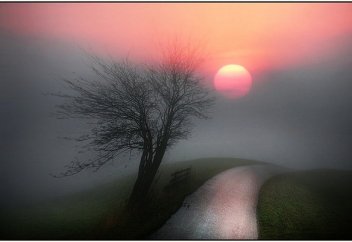 О дү­ниеге бі­реу ба­рып ке­ліп пе?