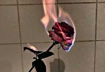 Дарынды балаларды анықтайтын әрі қолдау көрсететін министрлік құрылды