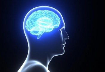 Дежавю - это вам не показалось. У науки есть объяснение